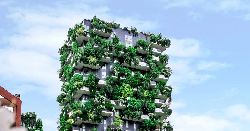 Sustainable Business Growth Strategies for Real Estate