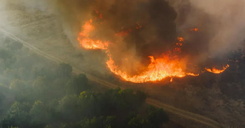 Australia’s New 2035 Emissions Target: Why It Matters