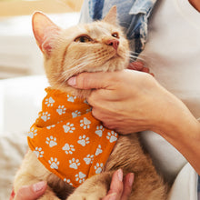Load image into Gallery viewer, custom printed pet bandana