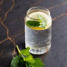 Load image into Gallery viewer, Keepsake Suburbia Glass