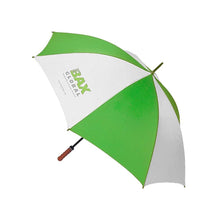 Load image into Gallery viewer, Blizzard 30" Auto Golf Umbrella