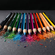 Load image into Gallery viewer, Custom printed promotional STAEDTLER Colouring Pencil Set of 12
